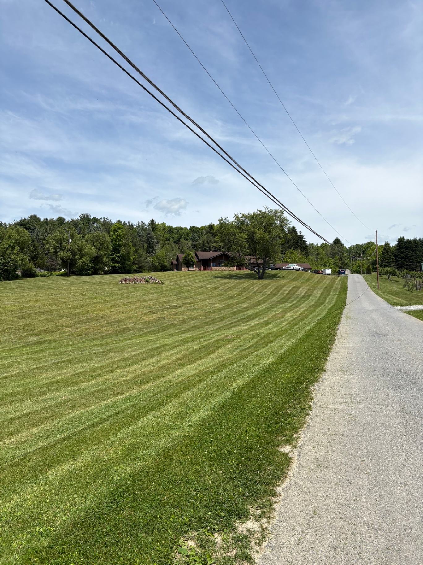 Fresh Mowing Stripes