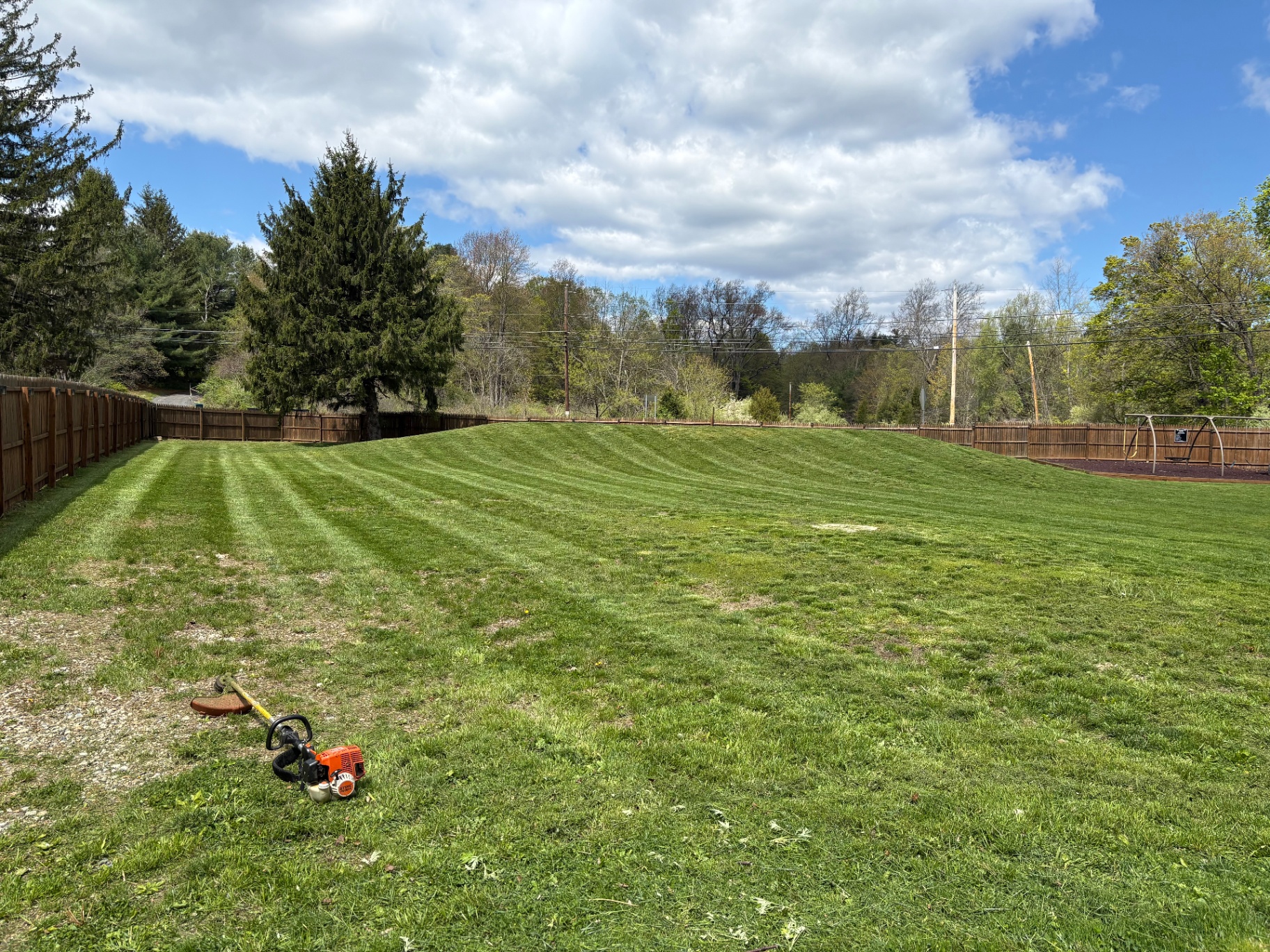 Backyard mow & trim with crisp stripes