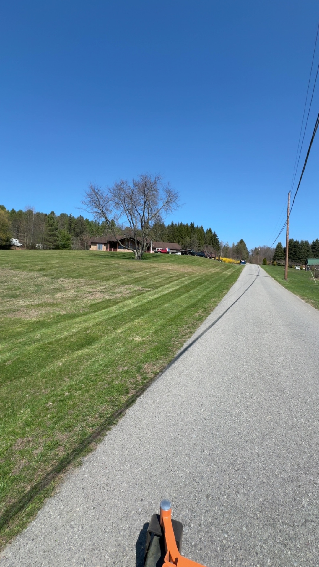 Spring lawn striping